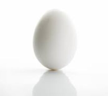 Egg